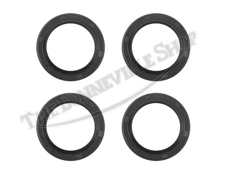 TBS CERIANI MM FORK SEAL PIECE SET