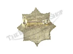 TBS BADGE BSA GOLD STAR GOLDSTAR LOGO ENAMEL BADGE PIN TIE TAC DBD
