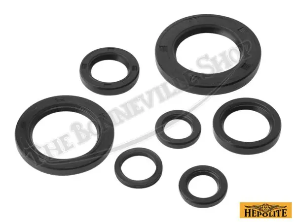 Triumph T120 TR6 650 4-Speed Hepolite Engine and Gearbox Oil Seal Kit 1963-71 PN# TBS-61-361